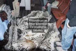 Monsters