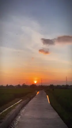 Vlog estetik
