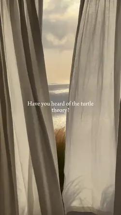 the turtle theory