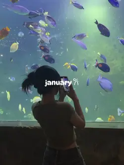 Januari Dump 2024