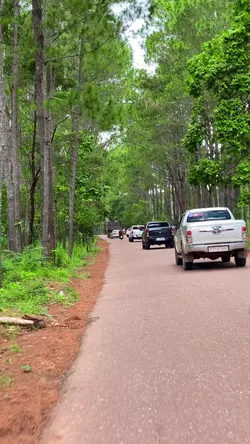 ឧទ្យានជាតិគិរីរម្យ🍃🤍