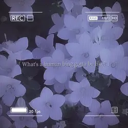 심심해서 만들어본..