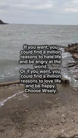 Choose Wisely