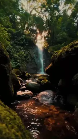Mentahan Video