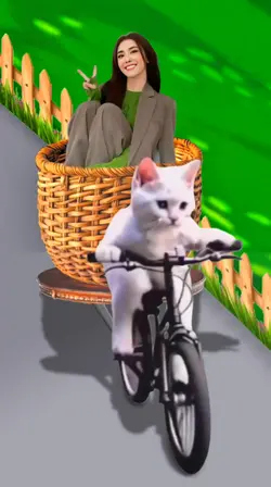 Mèo Đi Xe Đạp 