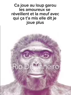 Meme singe 😂