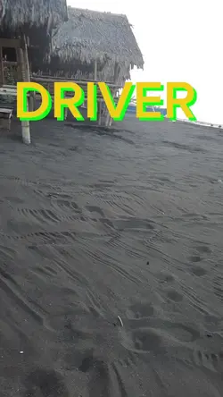 DRIVER 