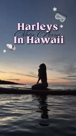 Harleys In Hawaii