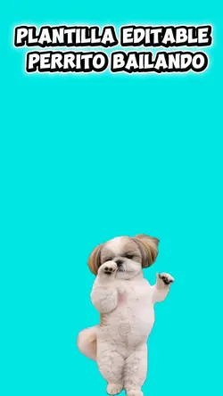 perrito bailando