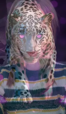 new edit