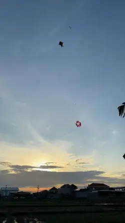 video layangan