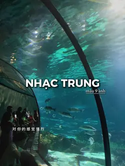 9 ảnh