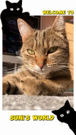 What you doin? 😸