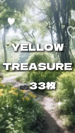📷33枚 YELLOW TREASURE