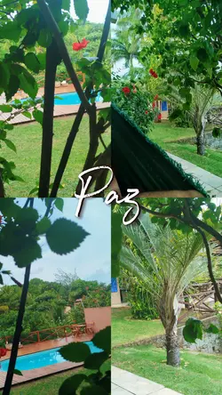 Paz