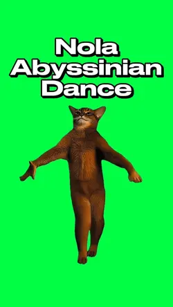 ABYSSINIAN DANCE