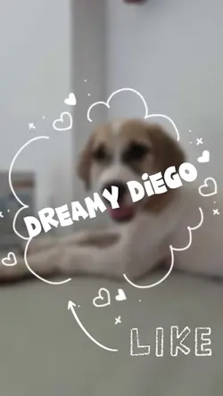 Dreamy Pup Diego