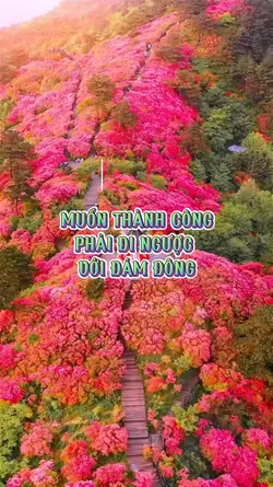 Mẫu truyền cảm hứng