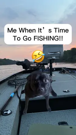 Fishing tournaments 