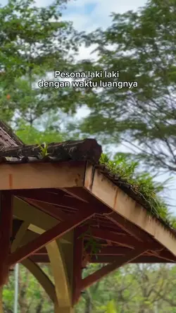 Pesona hari ini