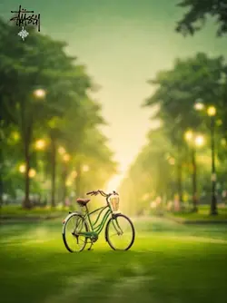 PEACEFUL NATURE 