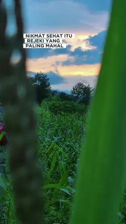Cinematic kata kata
