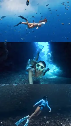 3 video snorkeling