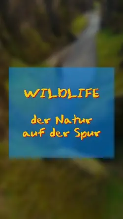 Funny Documentary