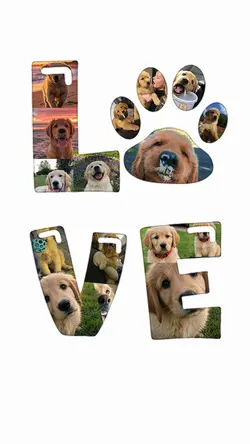 Love My Dog 🐾