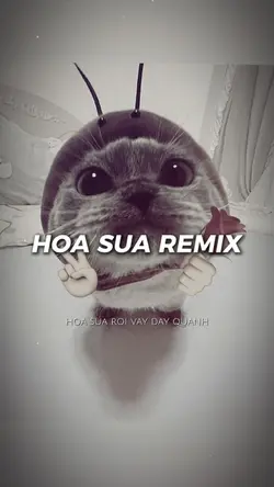 Hoa Sữa Remix