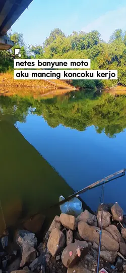 kata kata bro