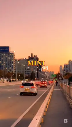 mini vlog