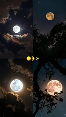 Lua cheia