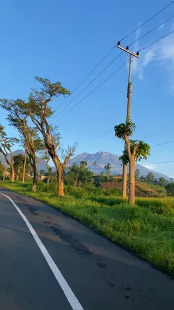 Filter jernih