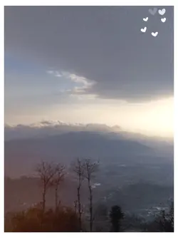 ????