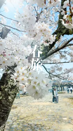 7枚で春の旅を振り返ろう！