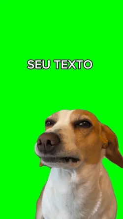 Cachorro desconfiado