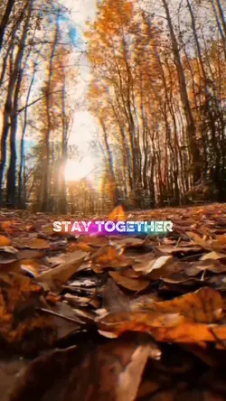 perfect stranger