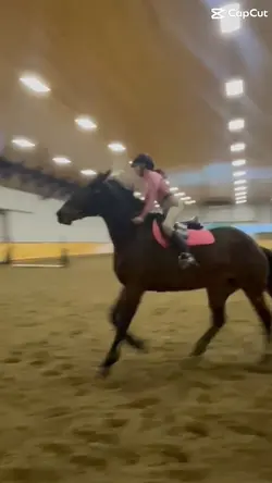 PINK PONY!!!!