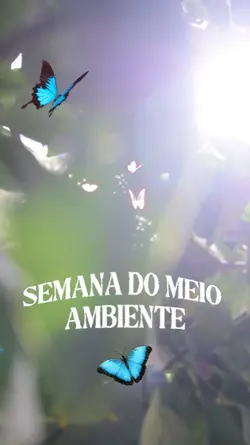 Meio Ambiente 