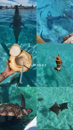Summer