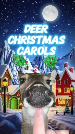 Deer Xmas Carols