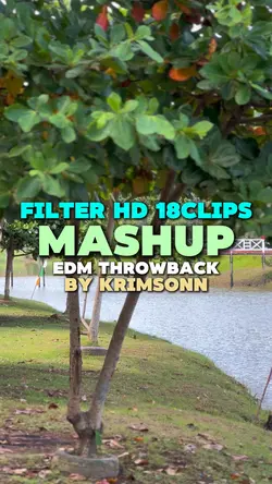Edm Remix