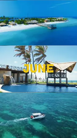 JUNE DUMP 2026