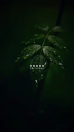 Green Christmas