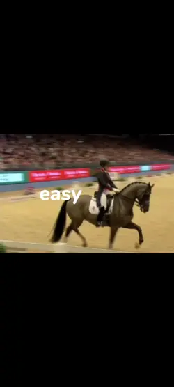 easy sport