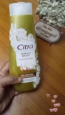 Citra Bengkoang 