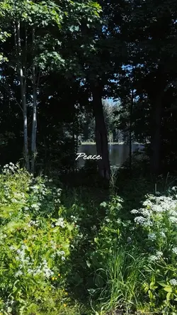 Peace