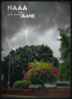 Beautiful Weather 