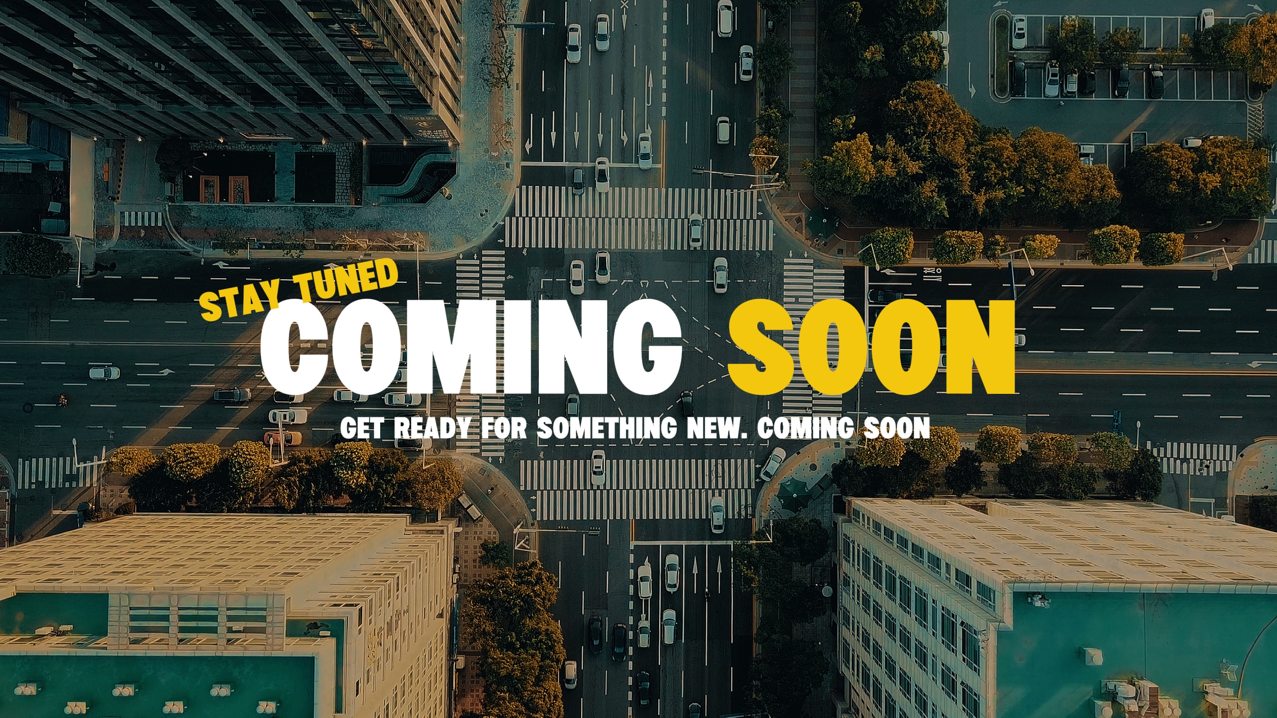 Mini Content Creator Template Intro Pro - Pippit